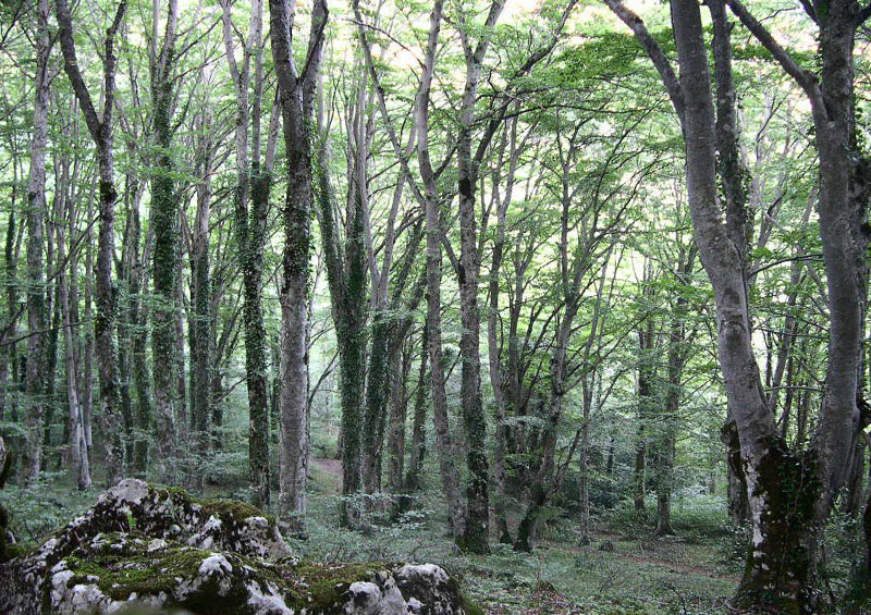 Abruzzo-estate